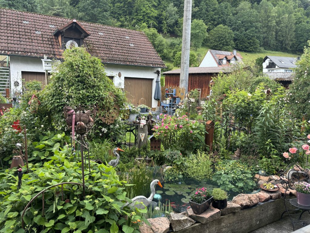 Galeriebilder