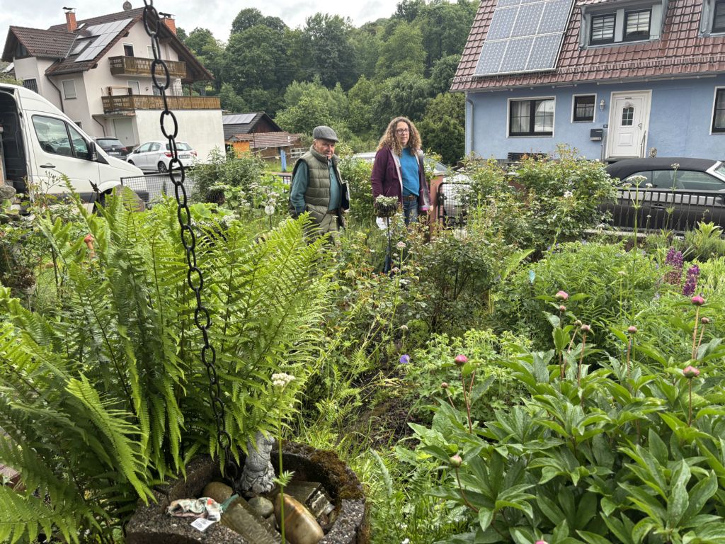 Galeriebilder