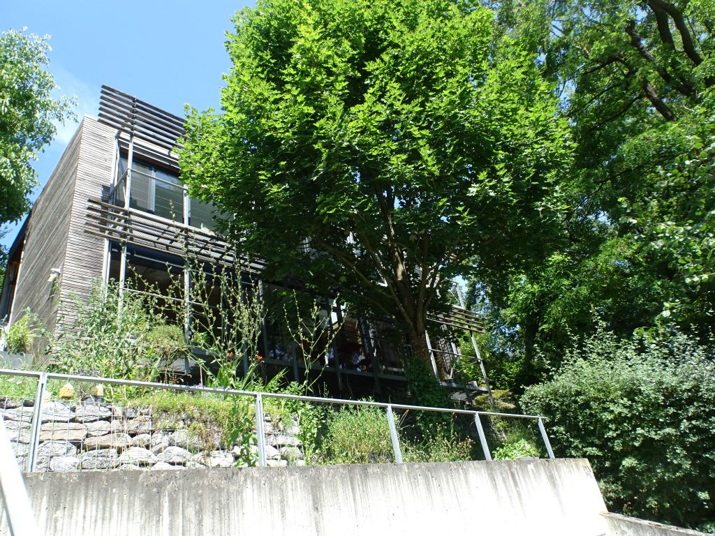Galeriebilder