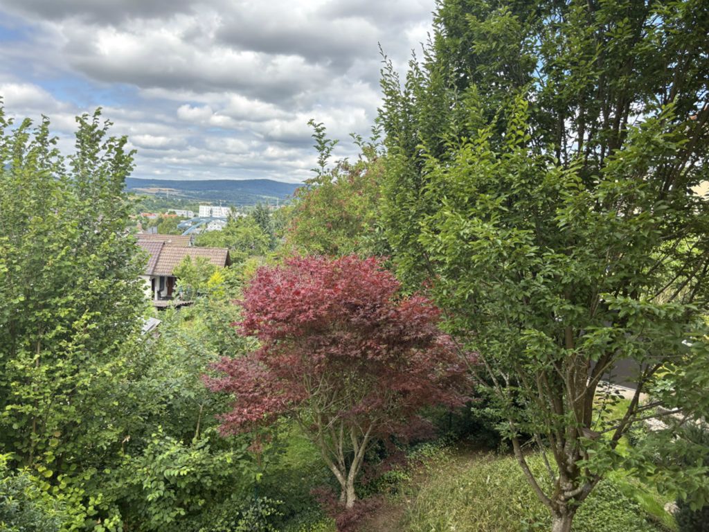 Galeriebilder