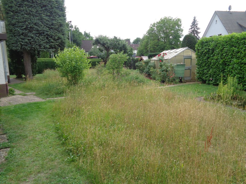 Galeriebilder
