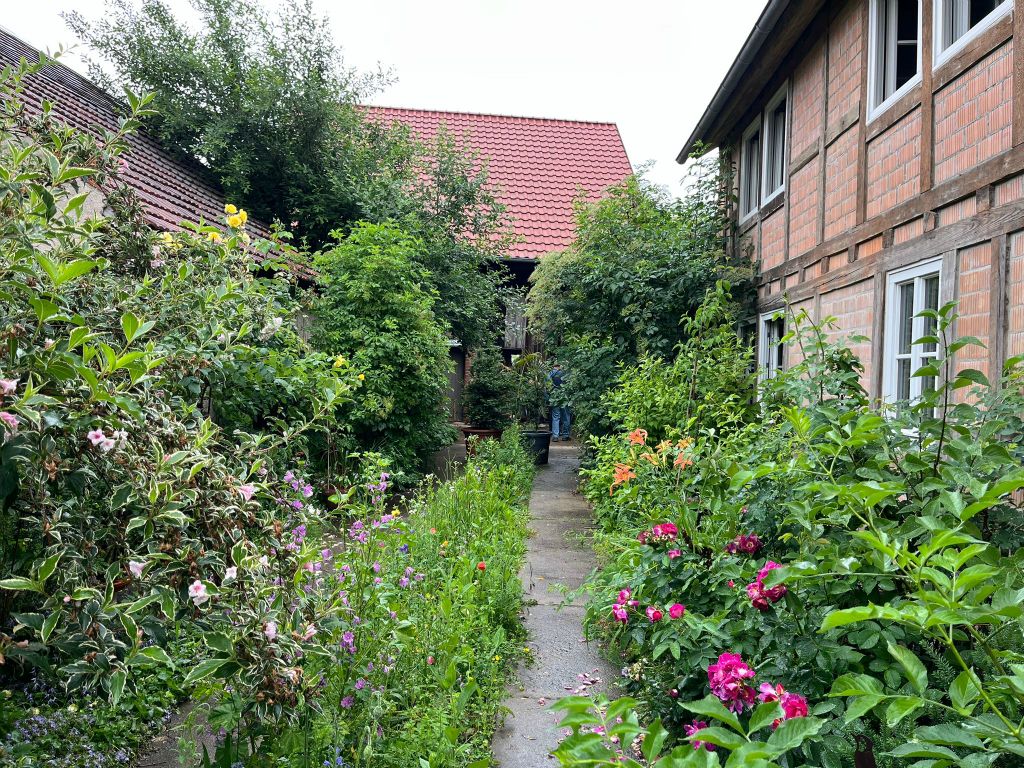 Galeriebilder