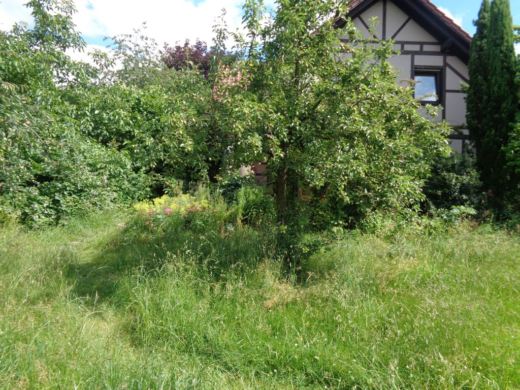 Galeriebilder