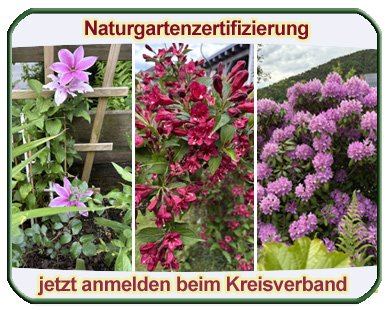 KV Gartenbauvereine Aschaffenburg