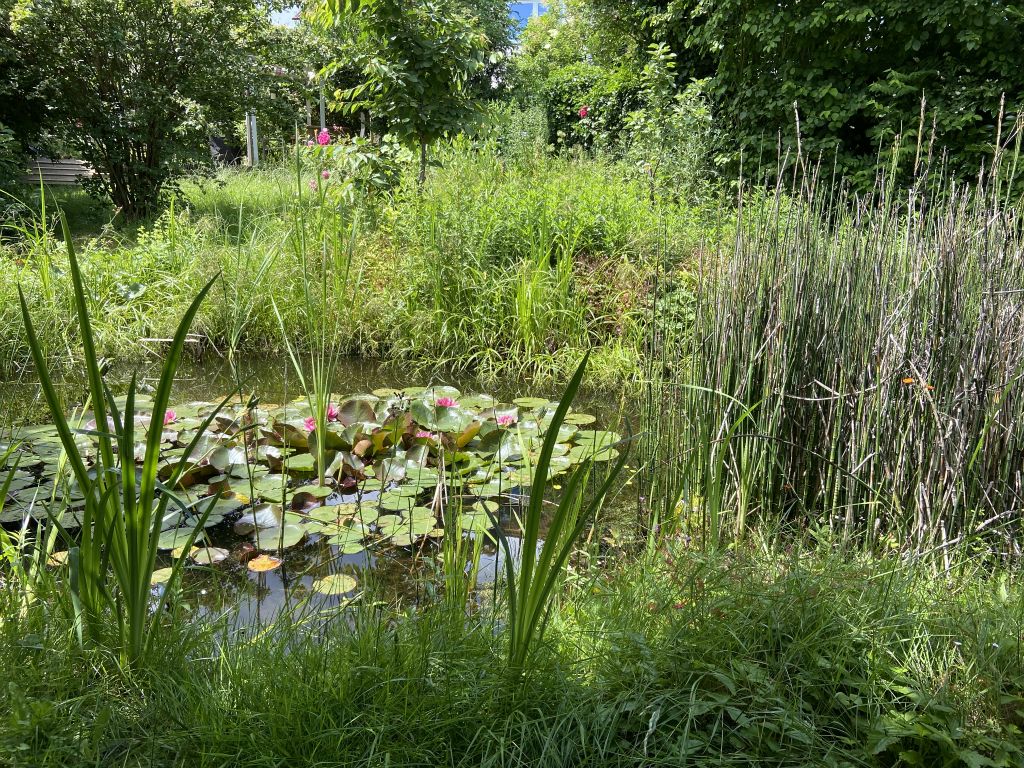 Galeriebilder