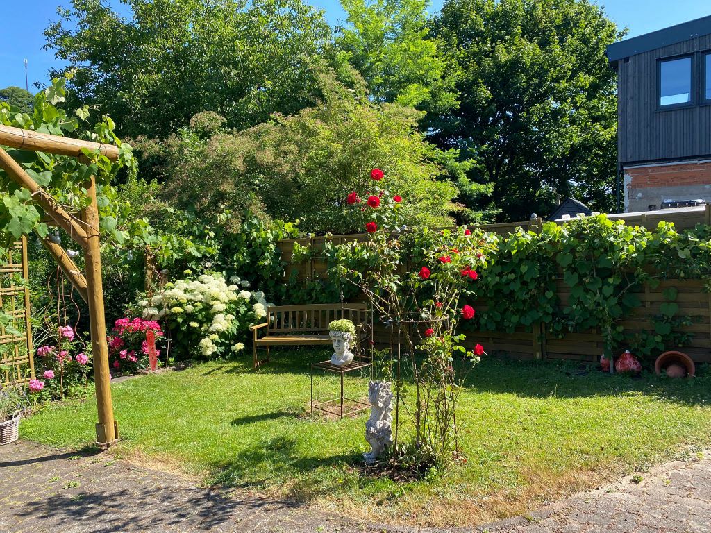 Galeriebilder